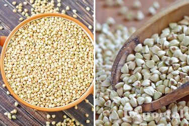 Диетическая зеленая гречка: как вкусно ее приготовить