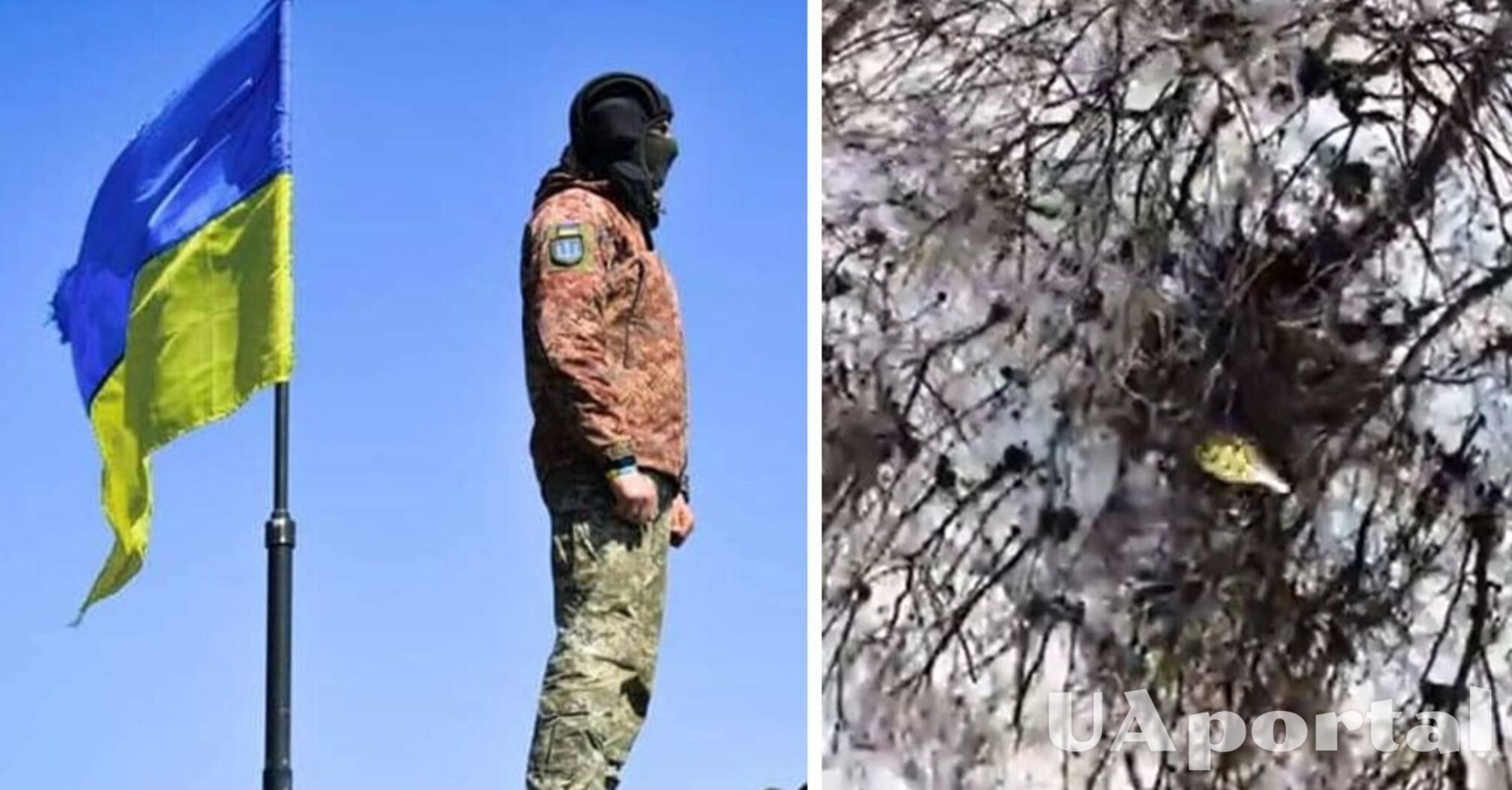 У мережі показали знищення ворожої піхоти з дронів на Луганщині (відео)
