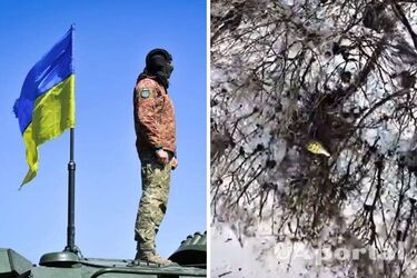 У мережі показали знищення ворожої піхоти з дронів на Луганщині (відео)