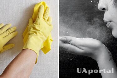 Як швидко очистити шпалери від пилу