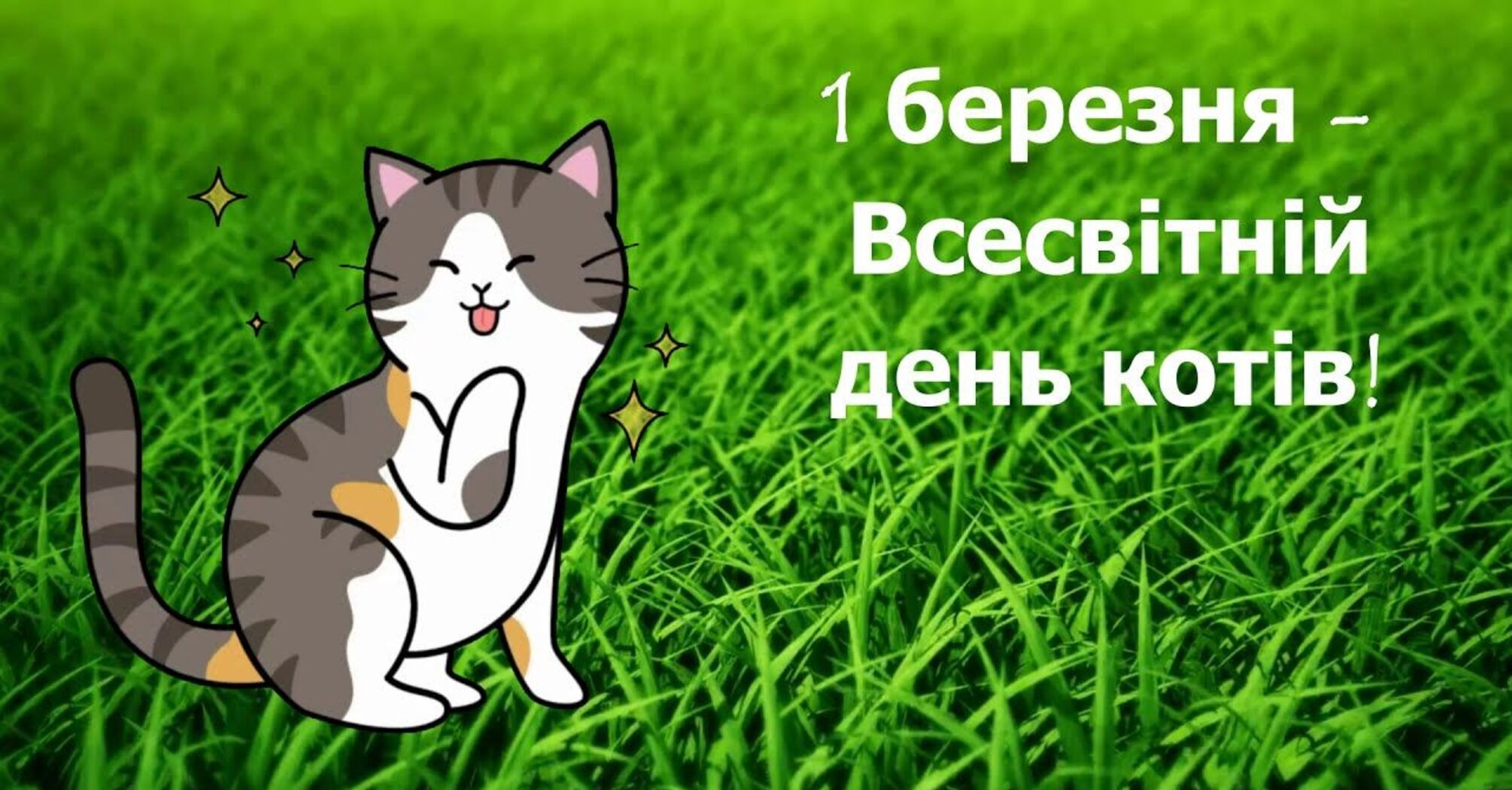 Международный день кошек 1 марта