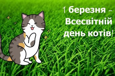 Міжнародний день котів 1 березня