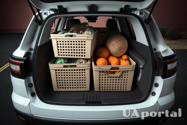 Як складати речі в багажник авто, щоб організувати простір