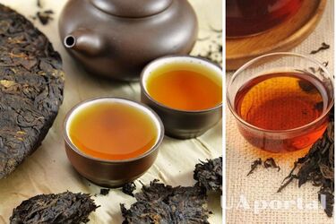 Invigorating as good as coffee: how to make pu-erh tea