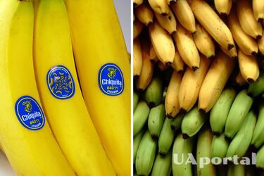 Pay attention to the labels: how to choose high-quality and healthy bananas