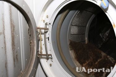Как быстро и легко очистить стиральную машину