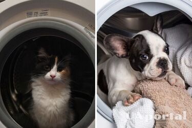 Як позбутись волосся у пральній машині