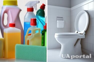 Як усунути запах каналізації та сечі в туалеті