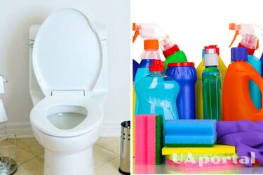 Як помити унітаз за 5 хвилин