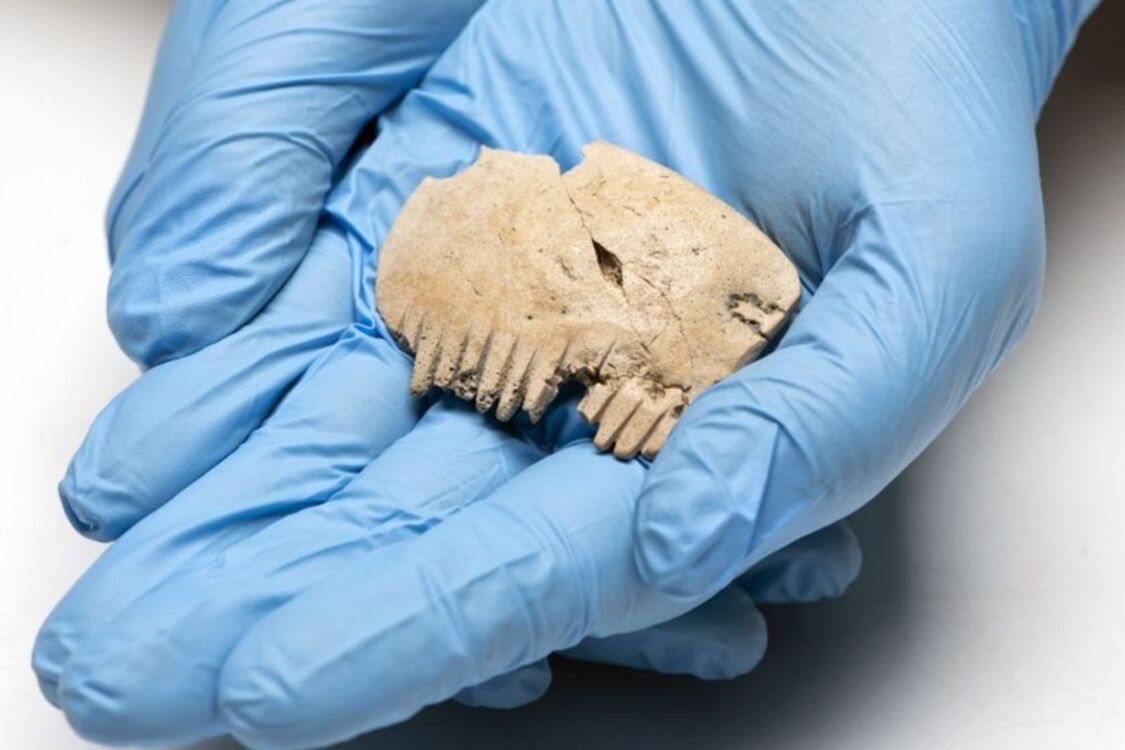 Археологи в Англії знайшли стародавній гребінець, виготовлений з людського черепа (фото)