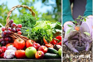 Місячний посівний календар на березень