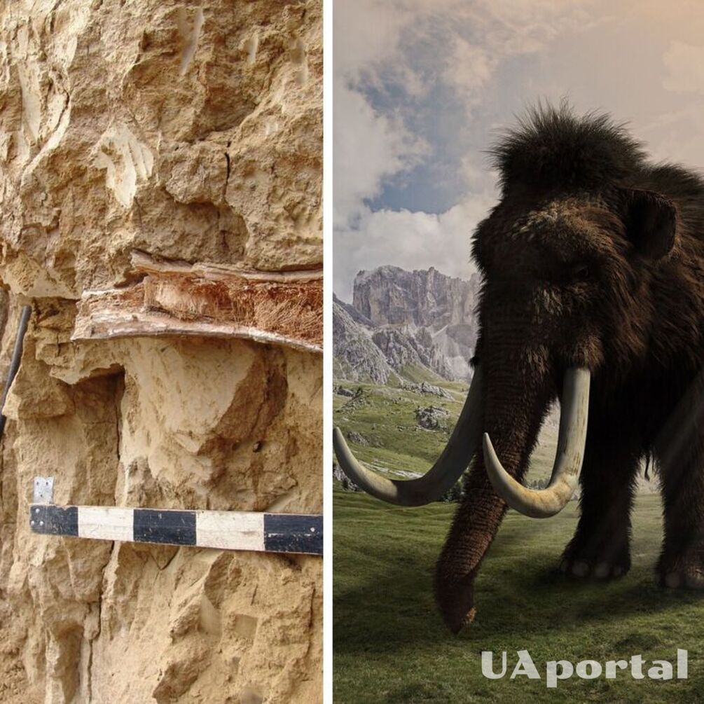 На Прикарпатті виявили кістку первісної тварини (фото)