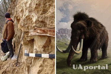 Bone of primitive animal discovered in Prykarpattia region (photo)