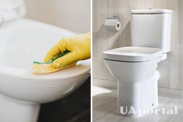 Як швидко промити бачок унітазу всередині від нальоту та іржі