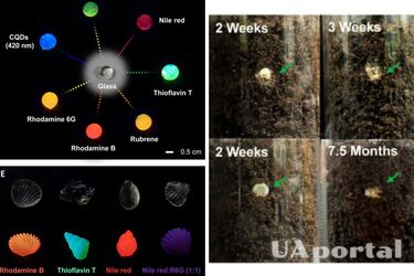 Chinese scientists have created a glass made from amino acids and peptides that can decompose over time