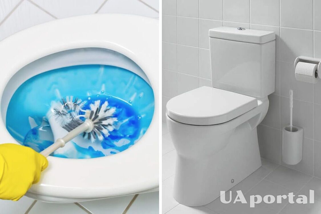Саморобний 'дезодорант' для унітазу: як позбутися неприємних засобів в туалеті