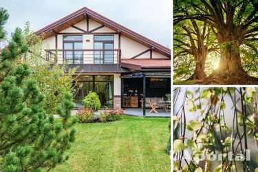 Які дерева не можна садити біля будинку