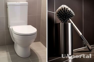 Як швидко почистити йоршик для унітазу