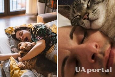 Які домашні тварини можуть псувати сон людини
