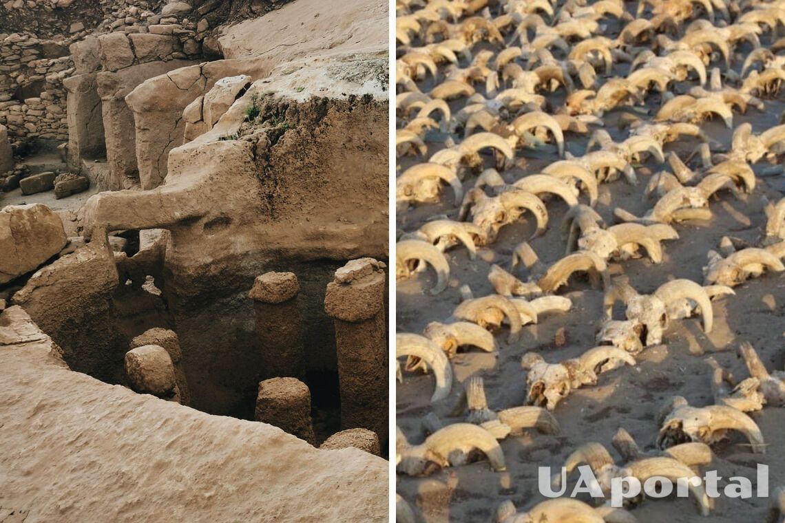 У Єгипті під час розкопок знайшли 2000 муміфікованих баранячих голів (фото)