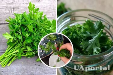 Как оборвать листья петрушки за считанные минуты: лайфхак из TikTok