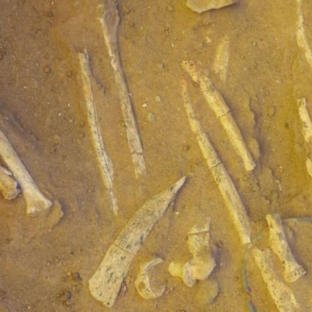 В Судане на кладбище, которому 7 тысяч лет, нашли устрашающие инструменты (фото)