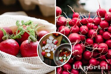 Весенние салаты с редиской: лучшие рецепты витаминных блюд