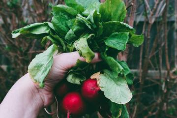 Правильное применение химикатов