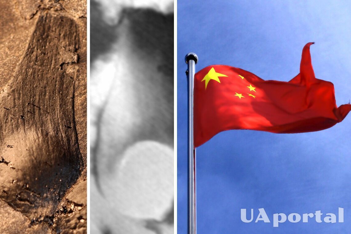 Китайські археологи виявили скам’янілу 'квітку' віком 170 мільйонів років (фото)