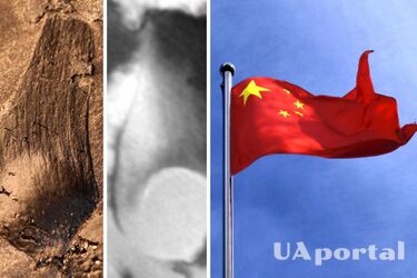 Китайские археологи обнаружили окаменевший 'цветок' в возрасте 170 миллионов лет (фото)