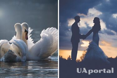 Трем знакам зодиака скоро повезет в любви