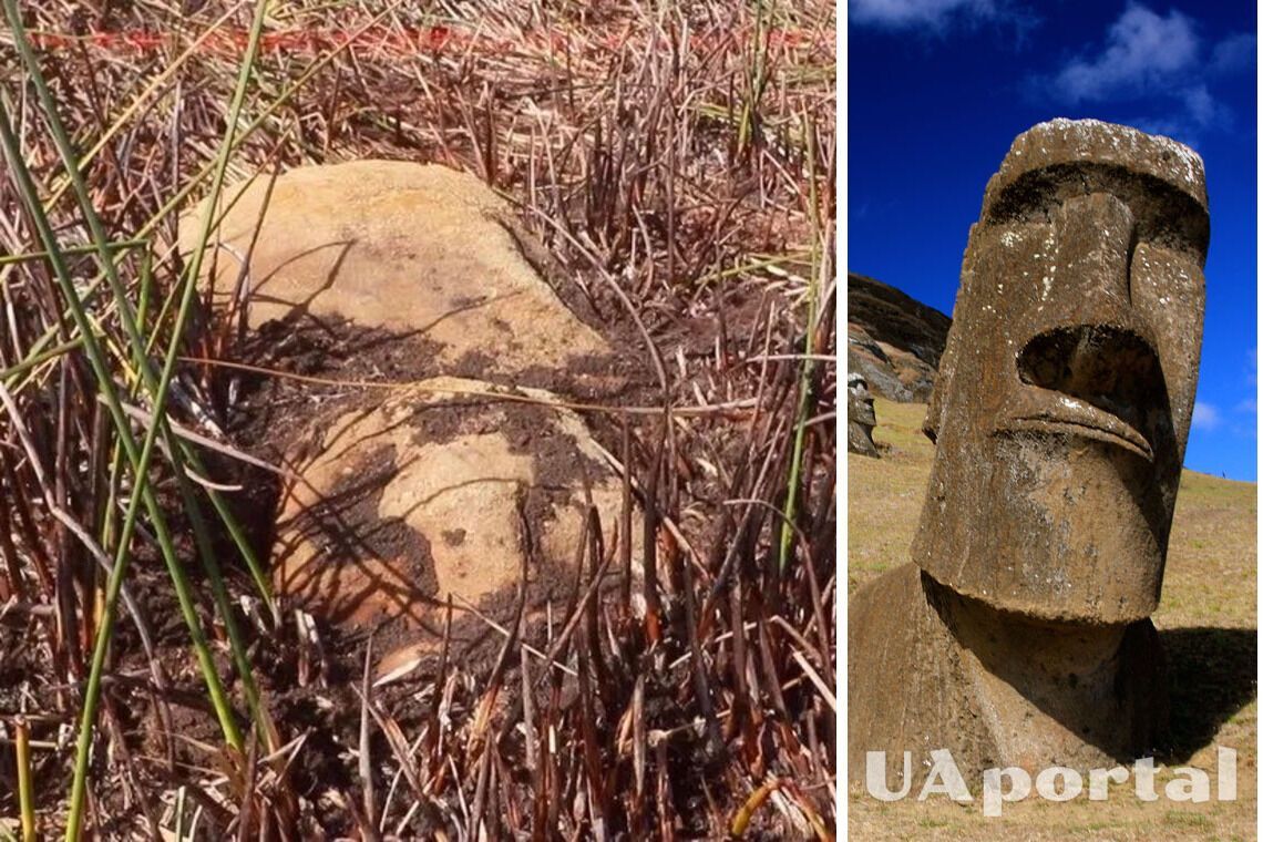 Нову статую моаї знайшли на острові Пасхи