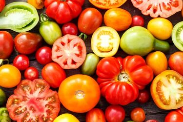 Найкращі сорти помідорів, що дають багатий урожай