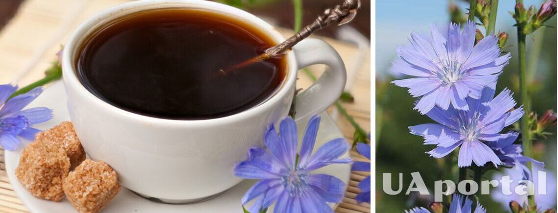 Краще, ніж кава: як приготувати смачний та корисний напій з цикорію