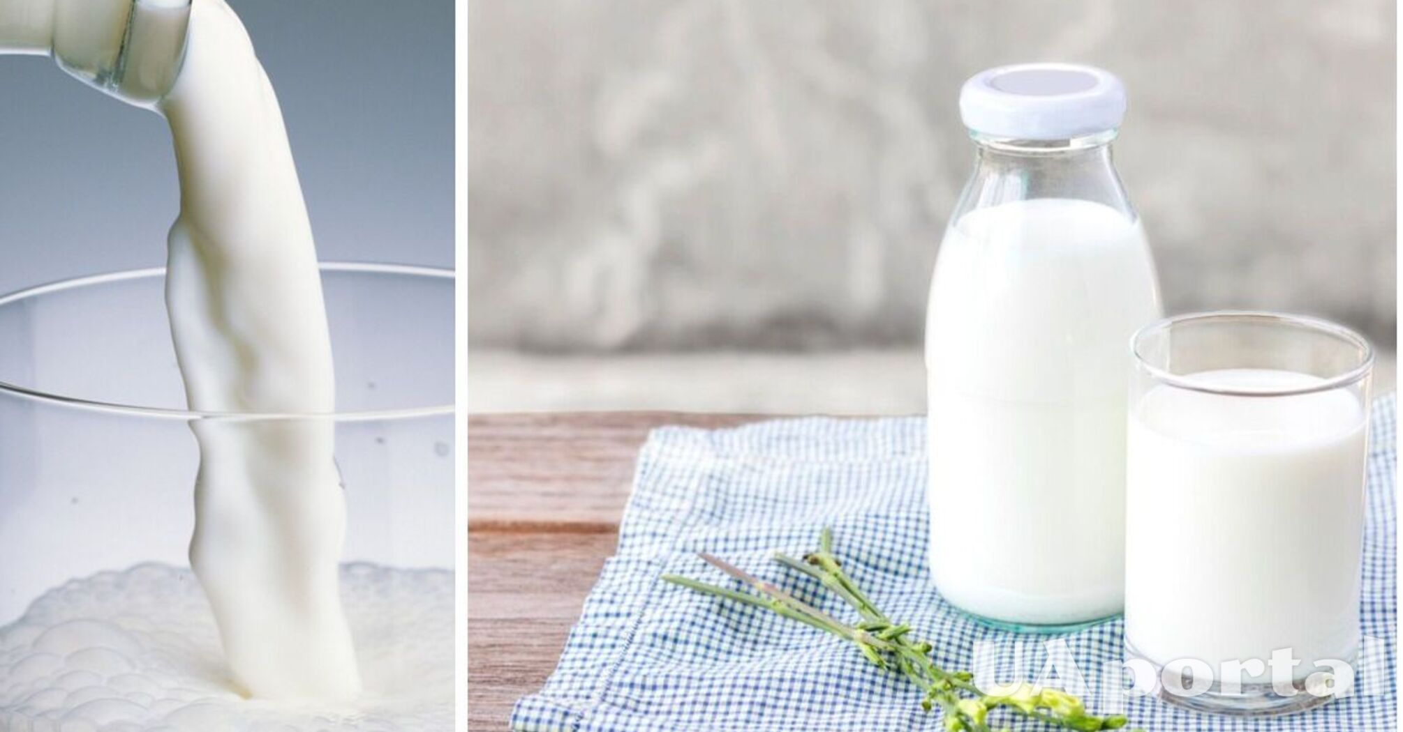 Чому не можна заморожувати молоко і як його правильно зберігати: важливі поради 