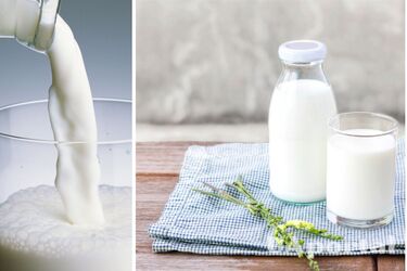 Как хранить молоко, чтобы оно долго не портилось