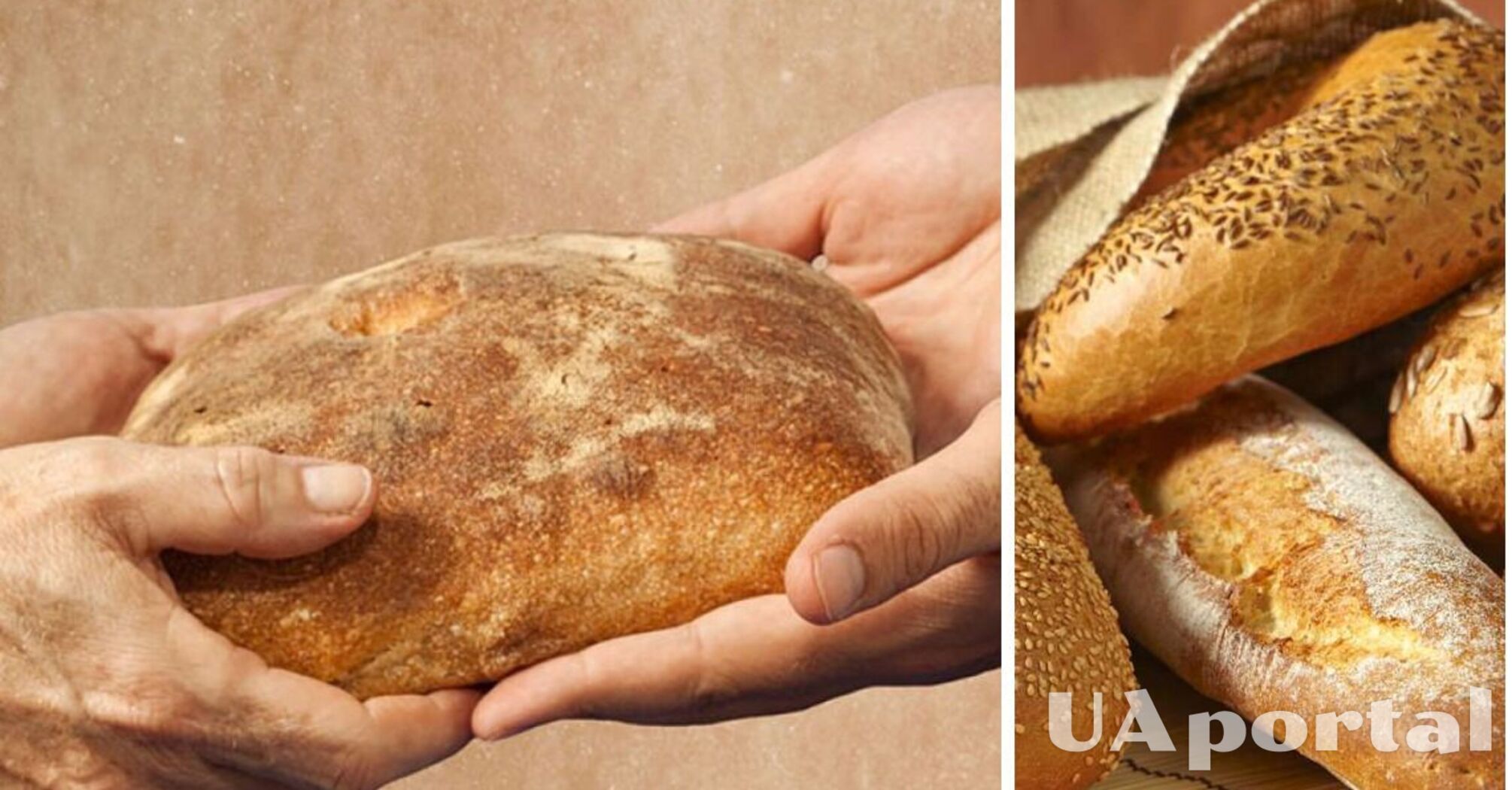 Почему нельзя выбрасывать хлеб: предрассудки и приметы