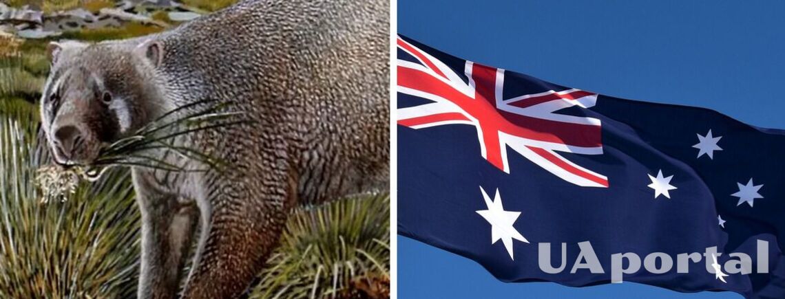 В Австралії виявили рештки раніше невідомої сумчастої тварини (фото)