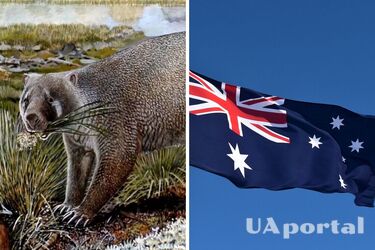 В Австралии обнаружили останки ранее неизвестного сумчатого животного (фото)