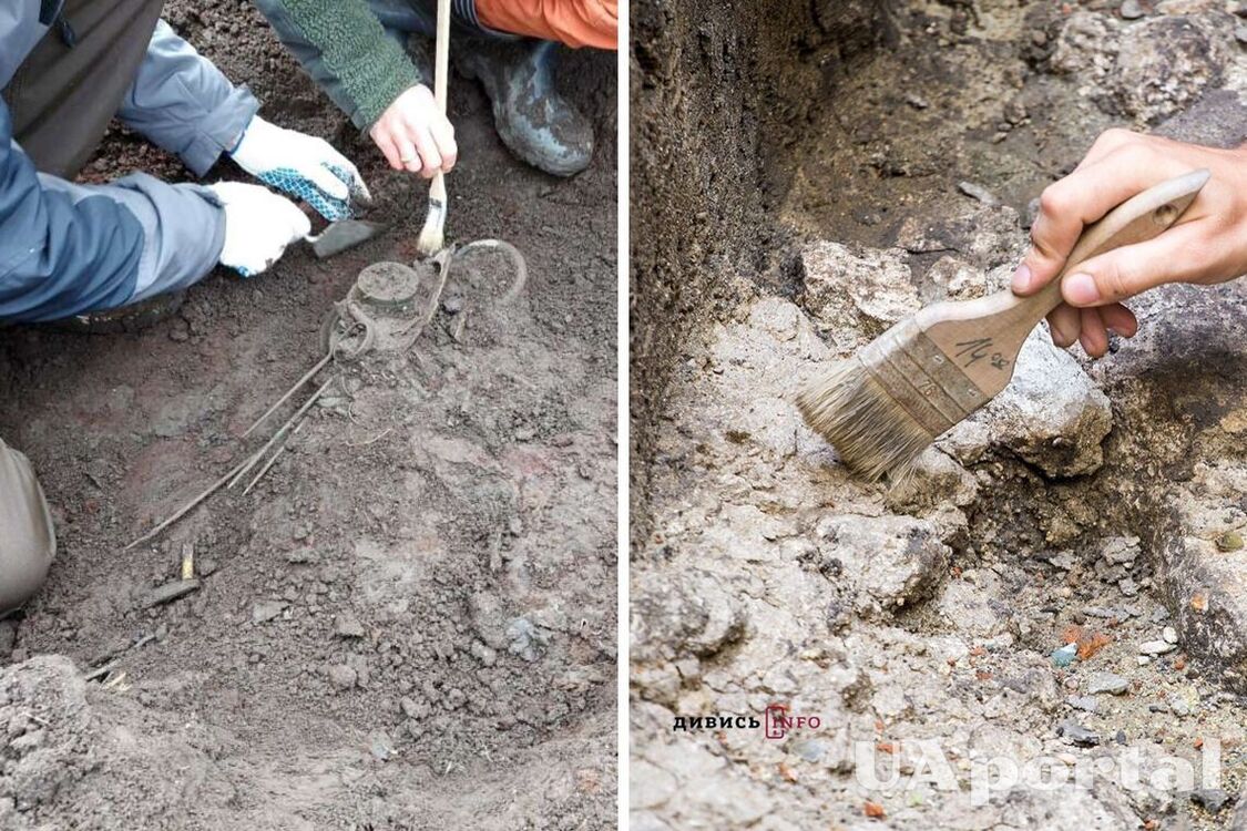 Бронзовые сокровища, которым более 2,5 тысяч лет, нашли в Польше благодаря металлодетектору