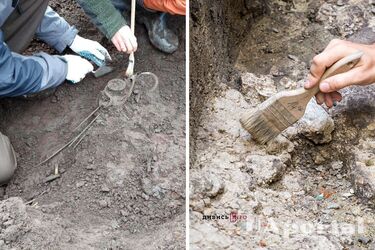 Бронзовые сокровища, которым более 2,5 тысяч лет, нашли в Польше благодаря металлодетектору