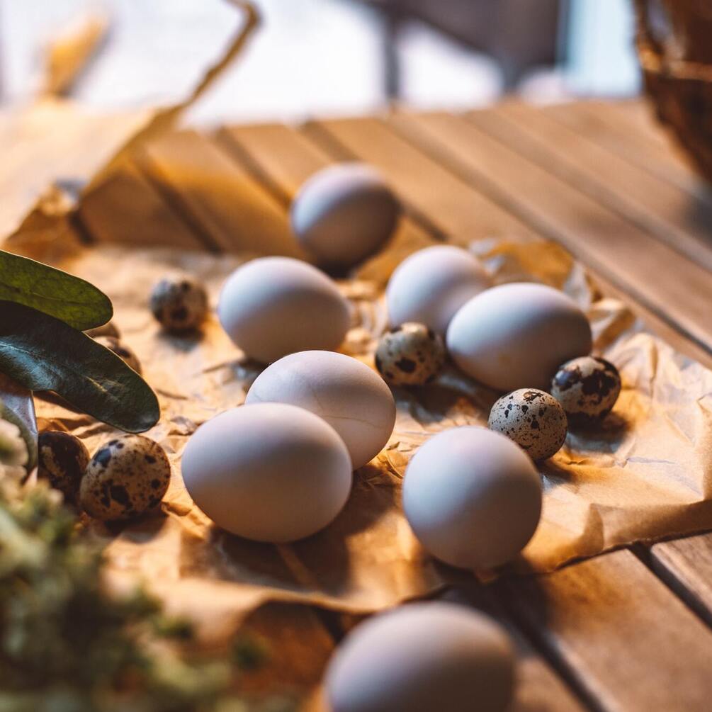 Мини-крашенки на Пасху для малышей: как правильно покрасить перепелиные яйца