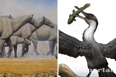 'Понад 7000 скелетів': науковці знайшли давнє затоплене місце, де жили доісторичні тварини