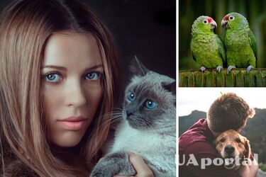 Which pet is right for you according to your zodiac sign: horoscope