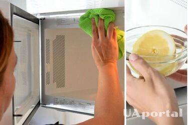 Эти средства есть на каждой кухне: как быстро почистить микроволновку, 5 простых лайфхаков