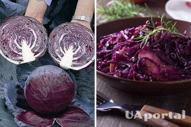 Lenten and budget dish: how to bake red cabbage with apples