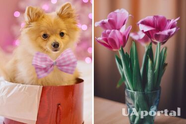 8 марта 2023: что подарить любимой девушке