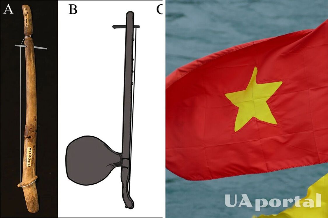 У В'єтнамі виявили струнний музичний інструмент, якому 2000 років (фото)