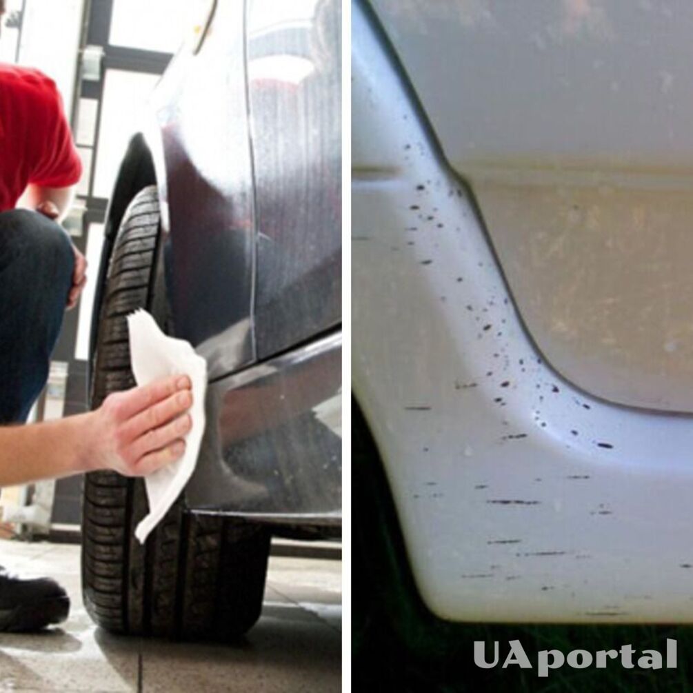 Как отмыть стекло и обшивку авто от битума: простые советы