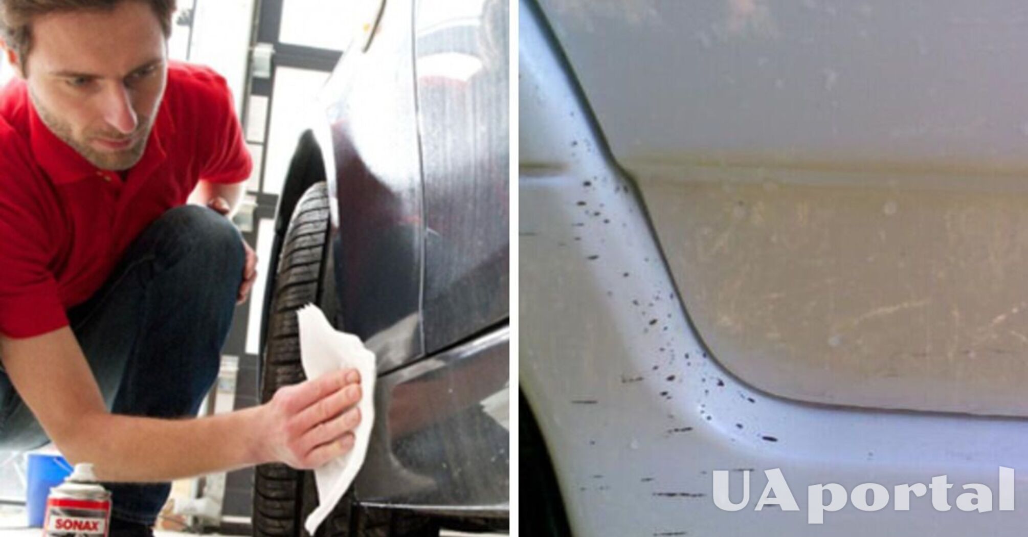 Как отмыть стекло и обшивку авто от битума: простые советы